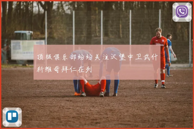 顶级俱乐部纷纷关注汉堡中卫武什科维奇拜仁在列