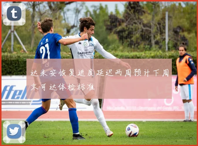 达米安恢复进度延迟两周预计下周末可达体检标准