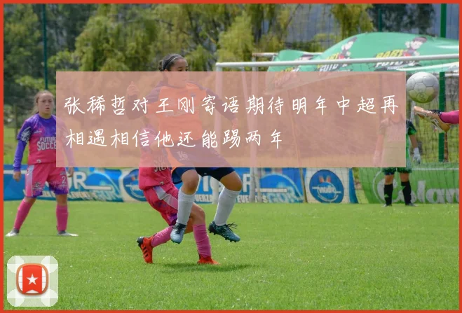 张稀哲对王刚寄语期待明年中超再相遇相信他还能踢两年