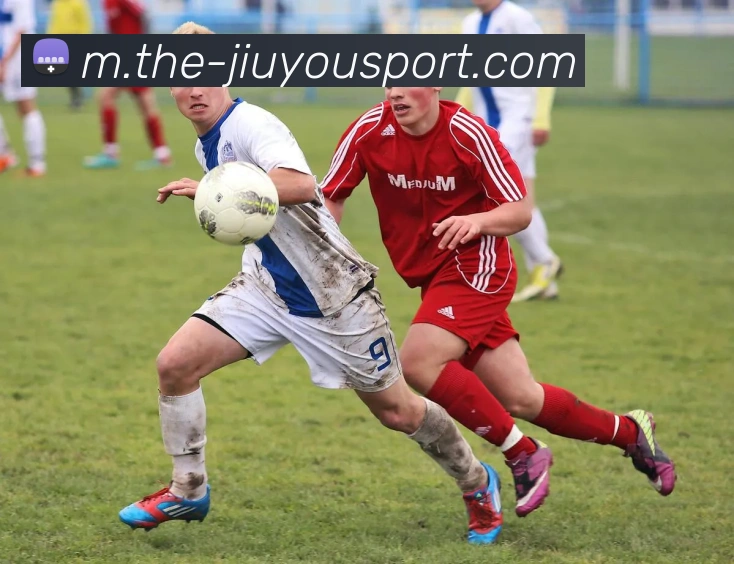 多媒体互动体验